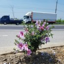 개화주유소 이미지