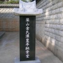 강진8호 Daum카페