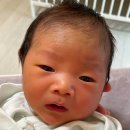 이장군카레와 | 산후조리원 1주차 일상 조리원 라이프 청주 미즈맘 산후조리원