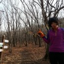 백두대간 진고개-동대산-두로봉-만월산-응복산-아미봉-약수산-구룡령 종주기, 2014. 11. 22/23.(토, 일), 맑음 이미지