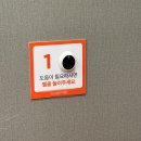 드로잉 A to Z | 대구 허벅지 지방흡입 A to Z (가격, 통증, 후기까지)