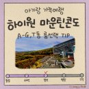 빨래방e편해 | 아이와 하이원 마운틴콘도 A B C D E F G T동 선택팁 총정리- 객실 룸타입 뷰 편의점 부대시설 접근성 주차