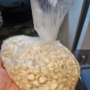 오브제-옥수수 이미지