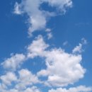 서울올바름치과의원 | 서울 강서구 마곡 눈탱이 안치는 치과 - 주기적으로 다녀보고 쓰는 진심 후기