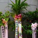 필메디스의원 이미지