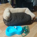 꼬마애견 이미지