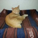 이쁜이PC 이미지