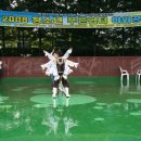 한국청소년문화사업단 법질서 바로 세우기운동실천하는법무부범죄예방 2008 9월20일(토)중앙공원 청소년 푸른쉼터 야외공연 이미지