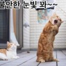 워크앤런 이미지
