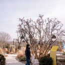 라임기획 | 불멍까지 가능한 용인 브런치 카페! 라임그라스 다녀왔어요