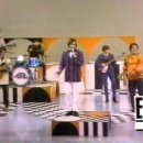 The Turtles -Happy Together(함께 행복 할 거야) 이미지