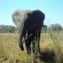 빈 팩토리 이미지