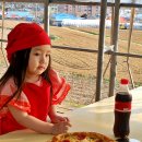 대관령 농장 이미지