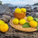 준 농장 이미지