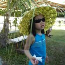 코코넛19 이미지