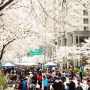 거리공원 이미지