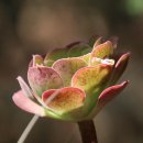 [자격증 취득과정] 독서지도사(3) 이미지