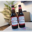 엠티엠 호텔 이미지