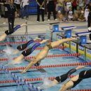 수영 카카오 검색결과