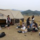 몽모드펫 이미지