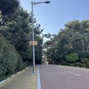 겨울부산여행 (2025.01.17-2025.01.19)-동백섬, 수변최고돼지국밥, 상국이네 떡볶이, 어반스테이 서면...