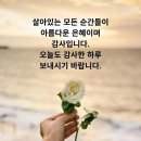 바느질 트라우마와 디지털피아노 이미지