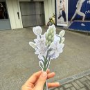 11500-13-17-103 | 성수나들이 ① | 성수 팝업스토어 도장깨기 (이벤트 총정리) | 2026년 4월 4주차 현장방문