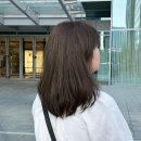 연희미용실 | 당산 미용실 애쉬브라운 염색 후기 <바운스플로> 연희디자이너 후기