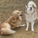 박순호의 아이슬란드 이미지