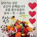 함께하는세상