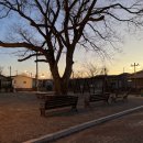 담양라라345 이미지