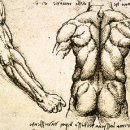 레오나르도 다빈치 과학박물관 이미지