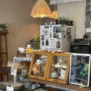 양말코히 이미지