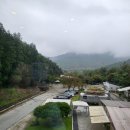 중문카라반 | 전남 담양 숙소 선인장 호스텔 트리플룸 글램핑 카라반 감성 캠핑 가능한 곳 후기