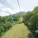 고원사우나 이미지