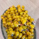 유사랑요양원 이미지