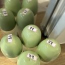 대주피오레(아) 1단지 | 울산 피오레 산후조리원 6박7일 변경 , 전신 마사지 내돈내산 찐찐찐 솔직후기