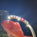 북항 활어 회 거리 신안천사회수산 추천 맛과 가격 후기