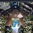 더로프트2 | W.1 베뉴 투어 | 로프트가든 홀 투어 후기☘️ (계약 O , 견적 공유 가능)