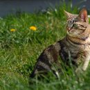 CU평택합정점 이미지