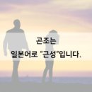 곤조 이미지