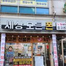 세상의모든사진