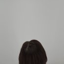 헤어증모술 가격 까지 완벽 후기!
