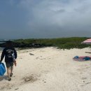 월정뷰게스트하우스코난비치대여점 이미지