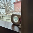 돌배나무 세그루 | [남해] 인스타감성브런치카페 그루370 아난티남해근처맛집, 바다바라보며 감성 한 스푼