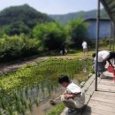 새미래농장 이미지