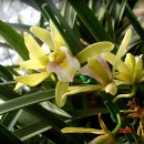 우리화원 이미지