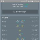 황금피자 이미지