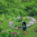 타샤의 정원 이미지