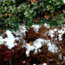 함평자연생태공원 이미지